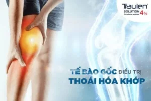 thoai hoa khop 1