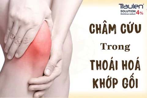 cham cuu