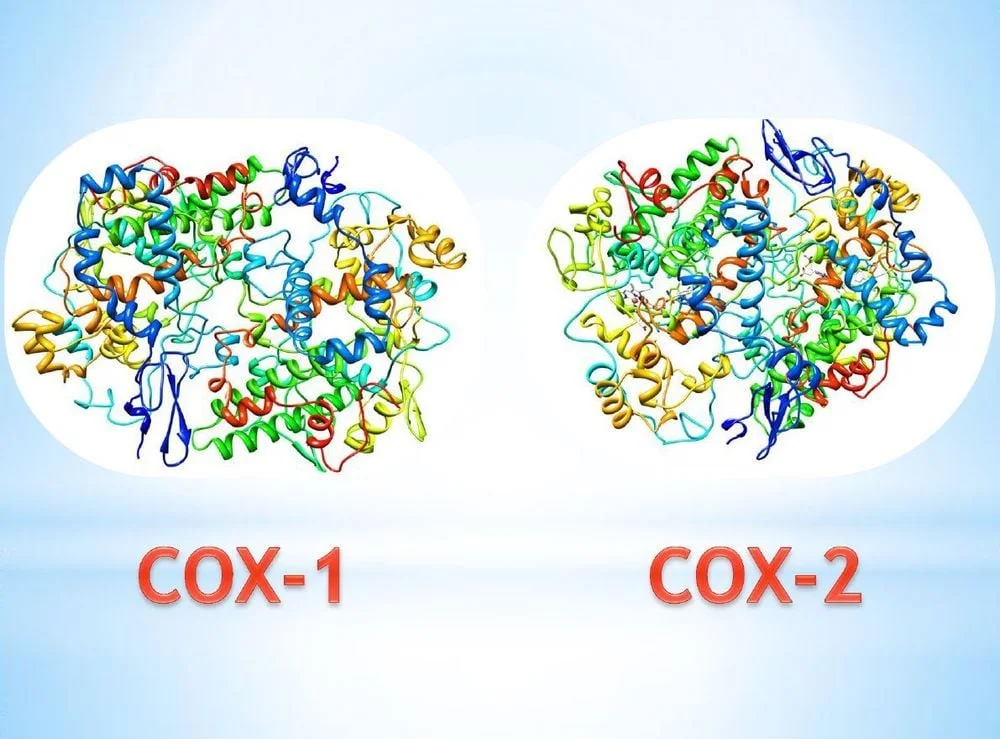 Công nghệ Nano Micell trong Traulen: Bước đột phá tăng thẩm thấu Diclofenac tại mô đích 6 Bằng cách ức chế COX, các thuốc NSAIDs tạo ra tác dụng giảm đau, hạ sốt và chống viêm