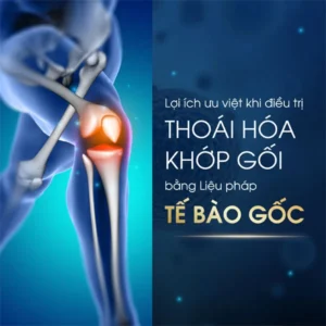 thoai hoa khop goi 1